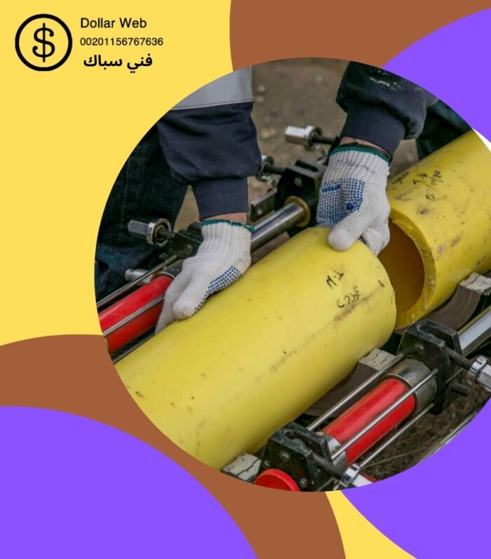 فني صحي الروضه